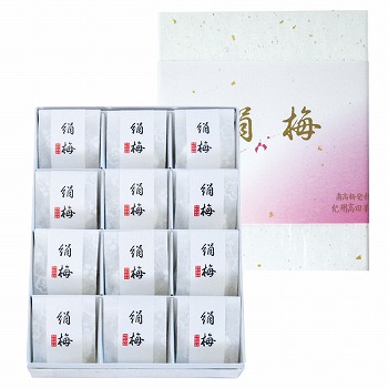 썂~˔_ IBcʉ ЂƎ̌~12 (OK-E12)